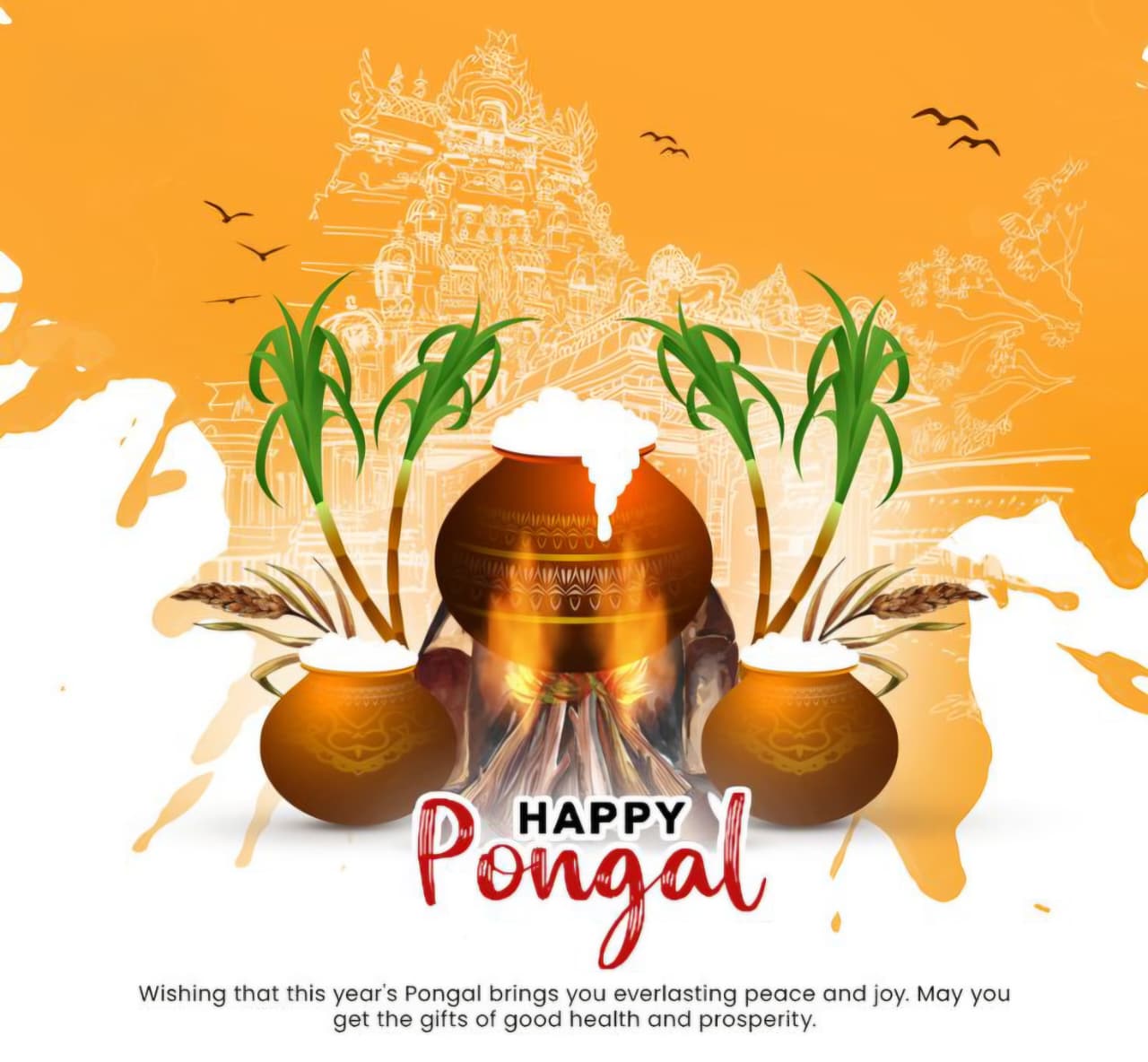 Pongal
