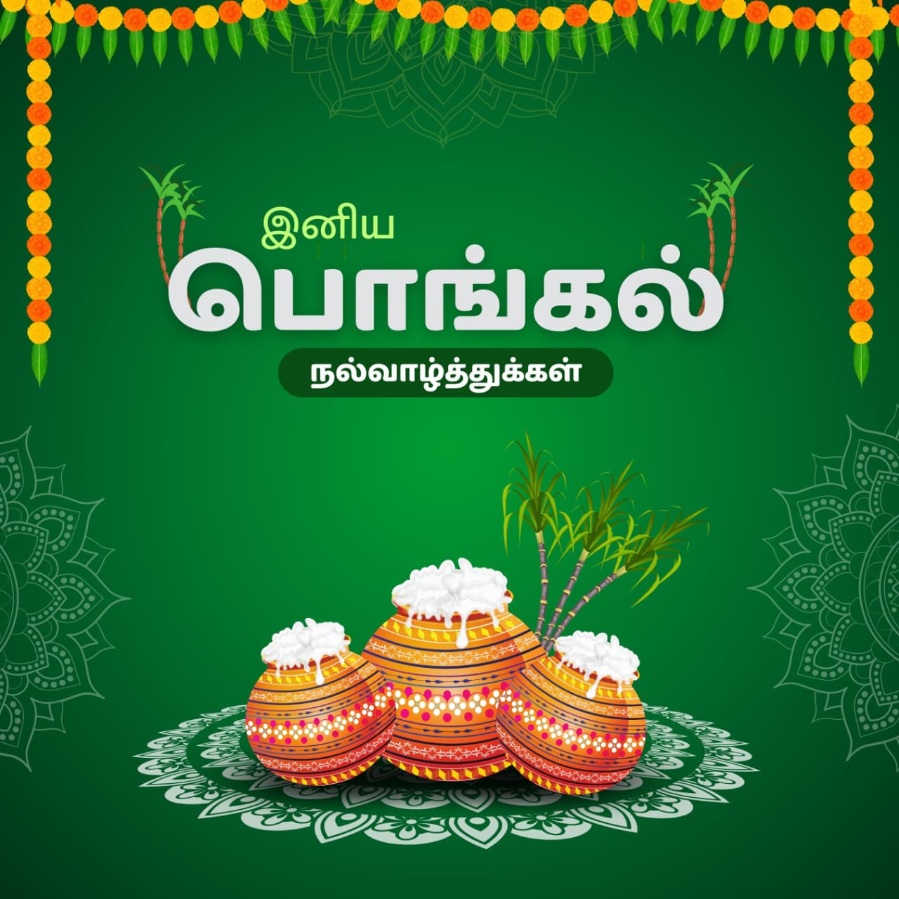 Pongal